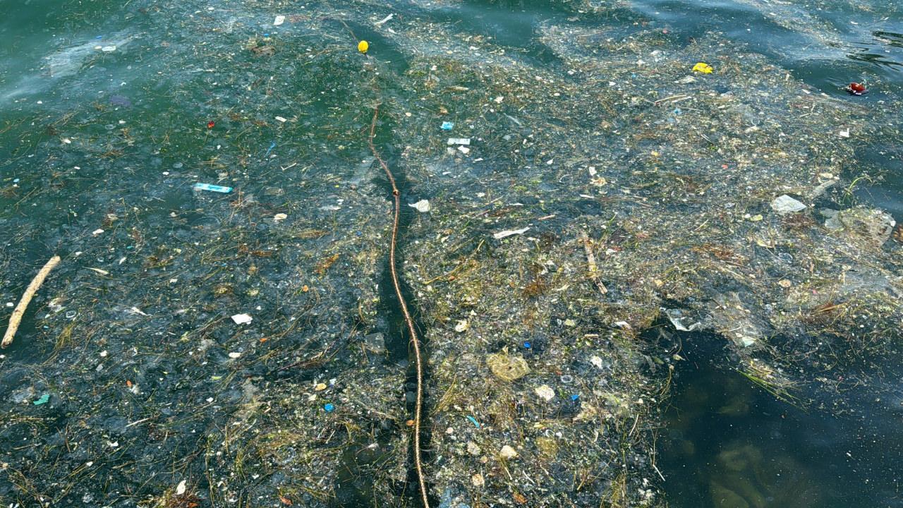 Sarıyer'de deniz kenarına vuran çöpler vatandaşı isyan ettirdi