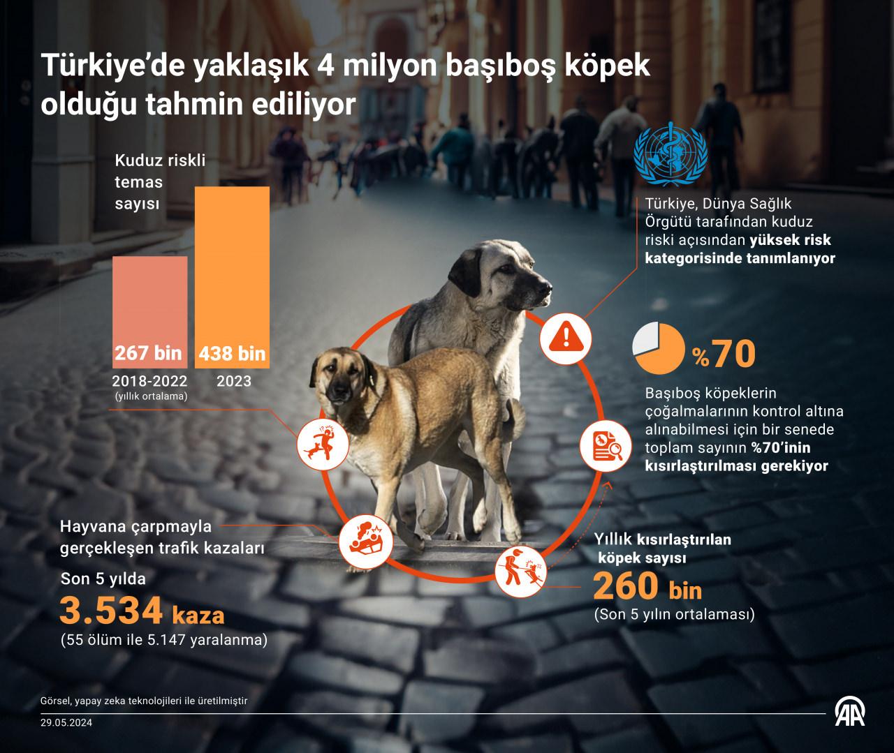 Türkiye'de 5 yıldır kuduz vakaları nedeniyle 12 ilde karantina uygulandı