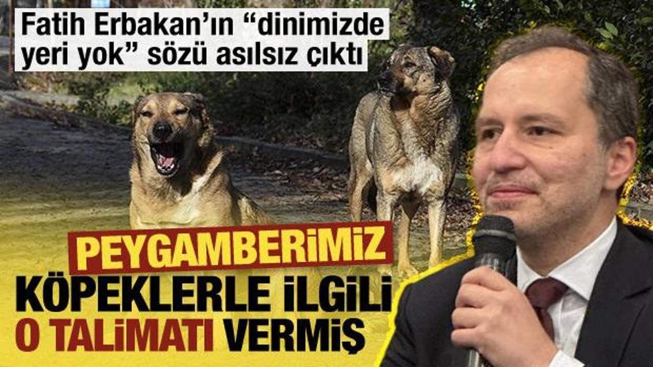 Fatih Erbakan'ın makam aracı başıboş köpek yüzünden kaza yapıyordu
