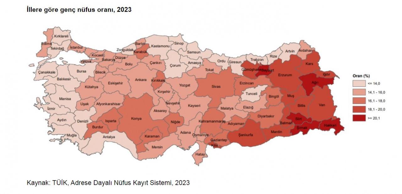 Türkiye nüfusunun yüzde 15,1'i genç