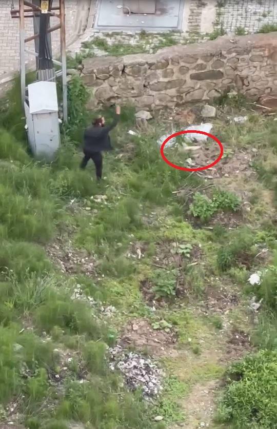 Trabzon’da kedi katliamı! Tekmeledi, ezdi, fırlattı