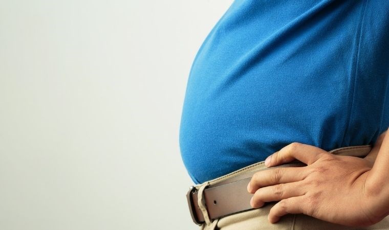 Obeziteye neden olan genleri çözmek için 7 milyon dolarlık bütçe desteği - Son Dakika Bilim Teknoloji Haberleri | Cumhuriyet