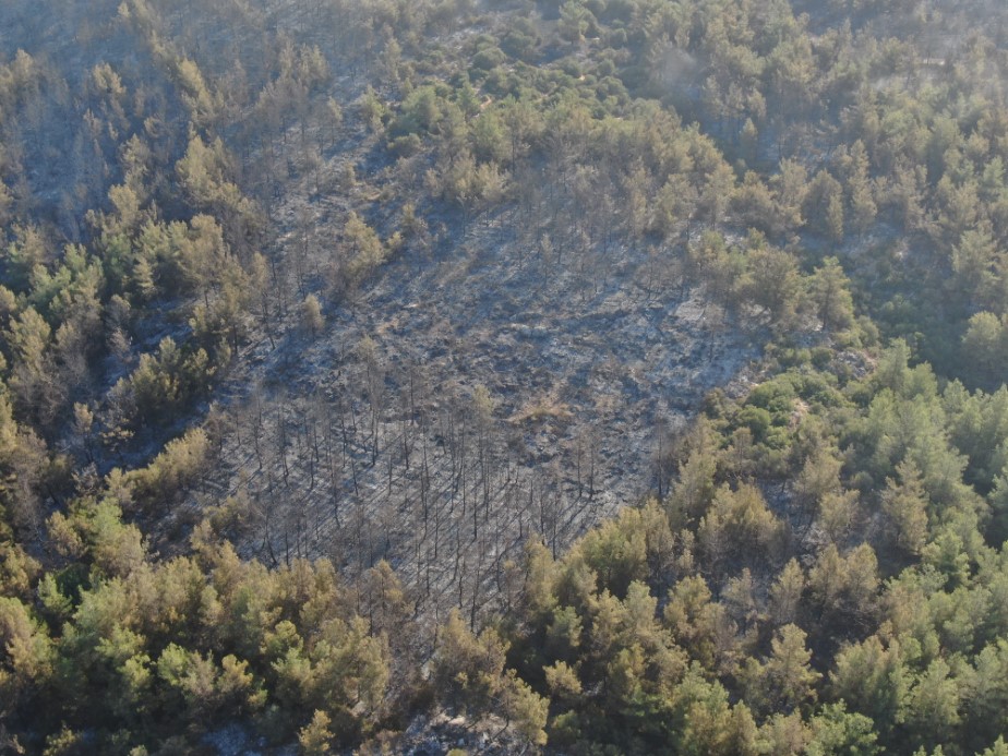 İzmir’de yangının çıktığı nokta olarak değerlendirilen bölge havadan görüntülendi