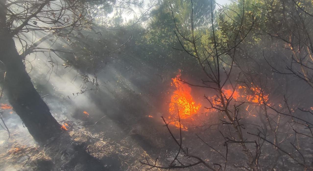 Çanakkale'de ormanlık alandaki yangın kontrol altına alındı