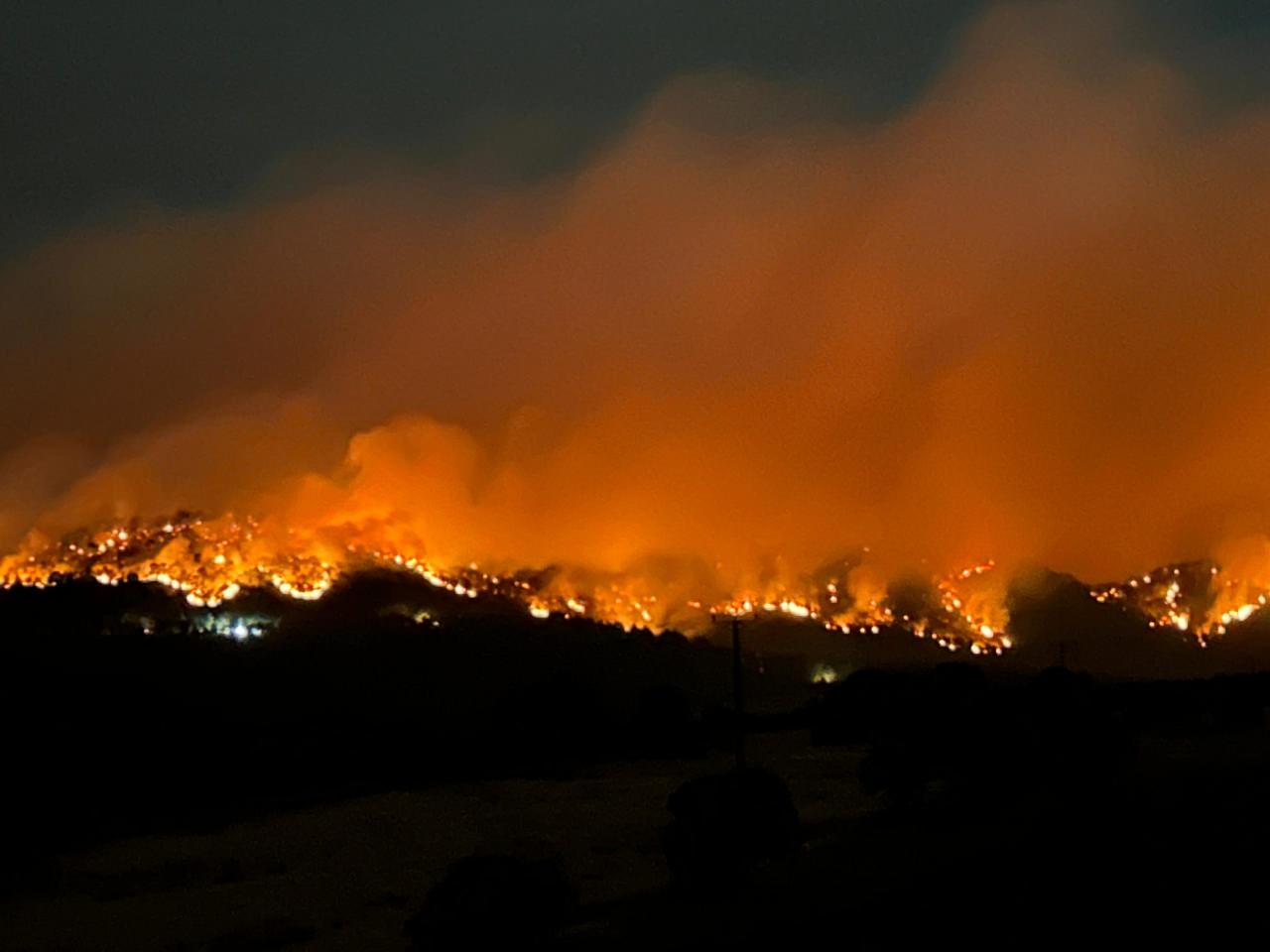 Çanakkale, İzmir, Manisa ve Uşak’ta orman yangını