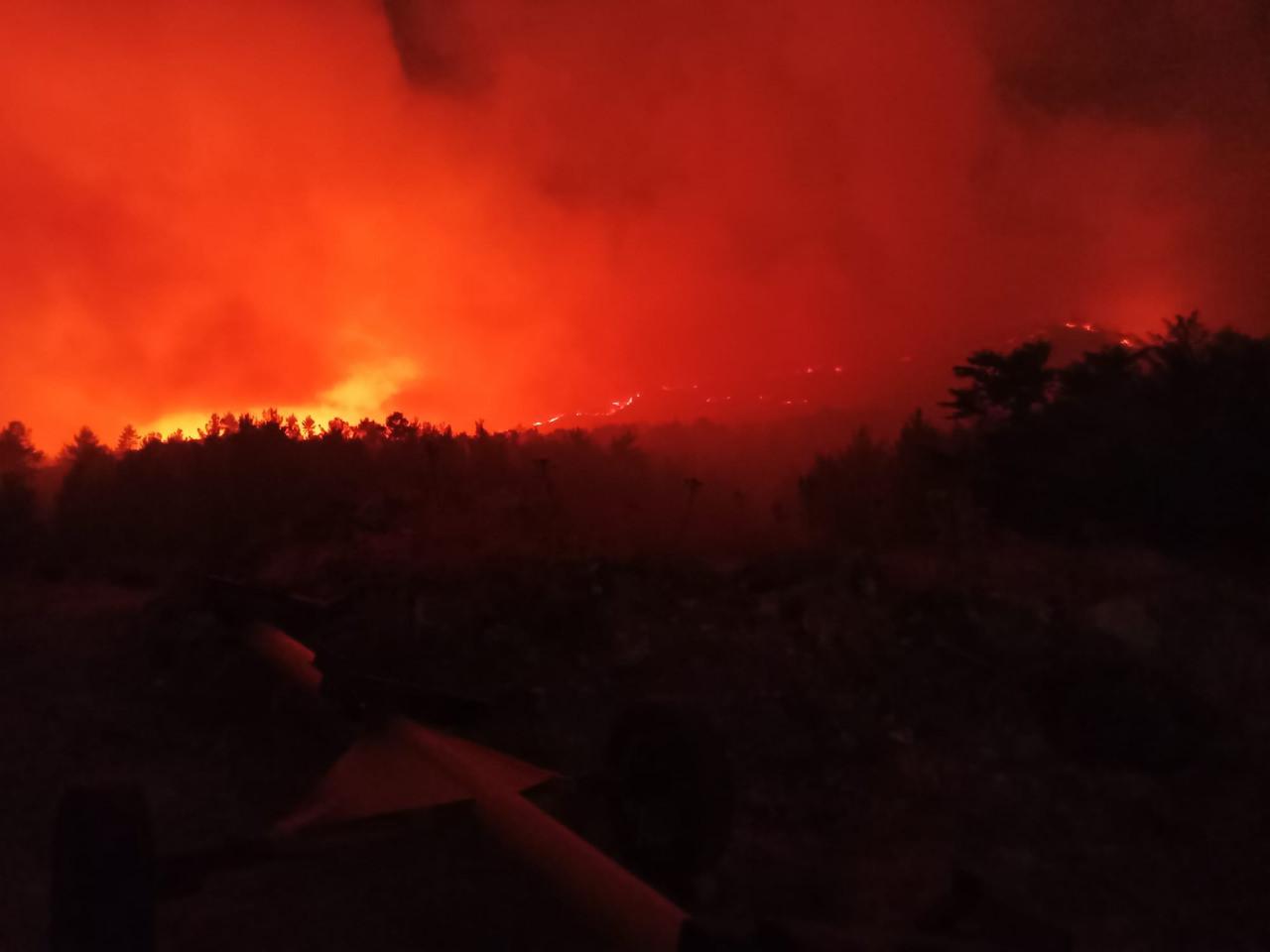 Çanakkale, İzmir, Manisa ve Uşak’ta orman yangını