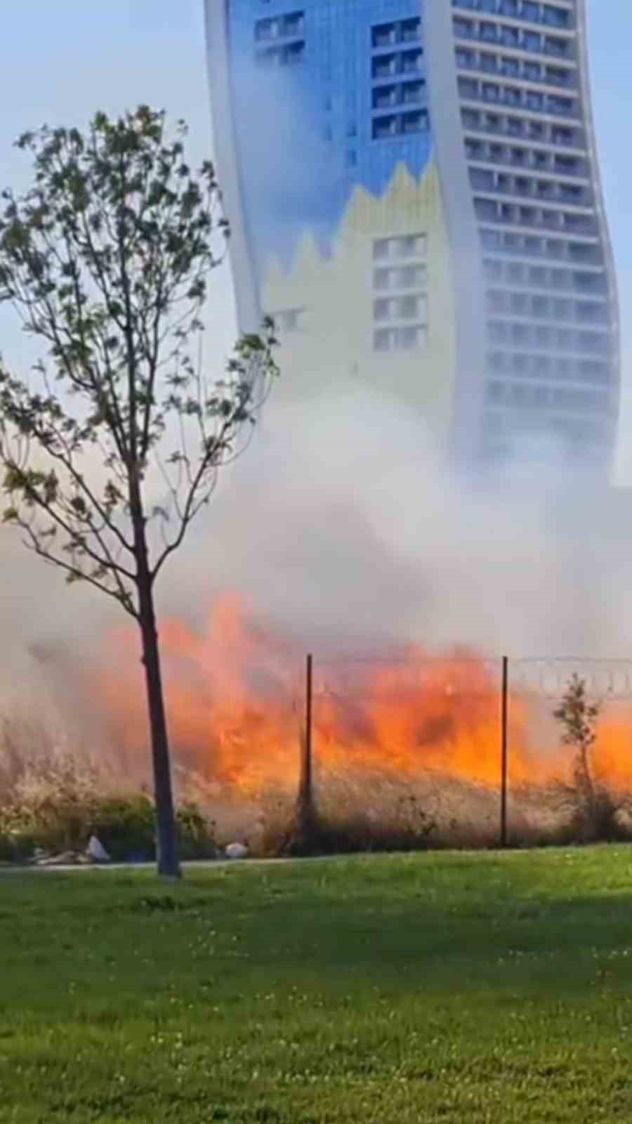 Kartal’da otluk alanda çıkan yangın korkuttu