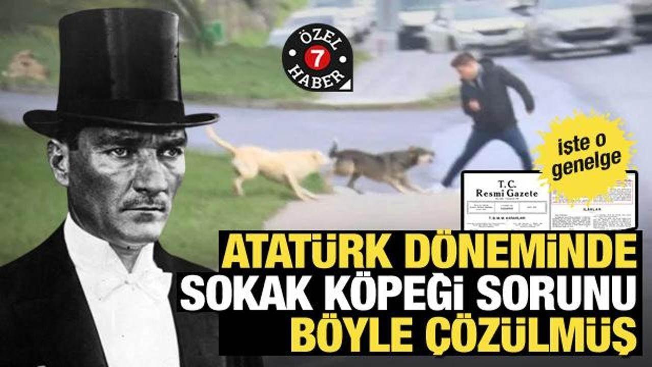 Köpek sorunu için akıl veren İmamoğlu 6 yılda sıfır çekti! İhmal üstüne ihmal