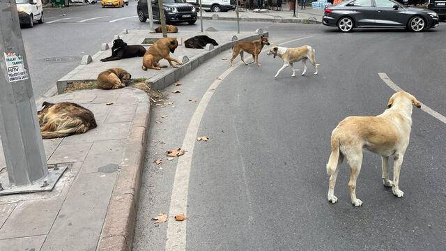 Gündemden düşmüyor! Türkiye'nin imajına büyük darbe vurdu! Tek Avrupa ülkesi oldu