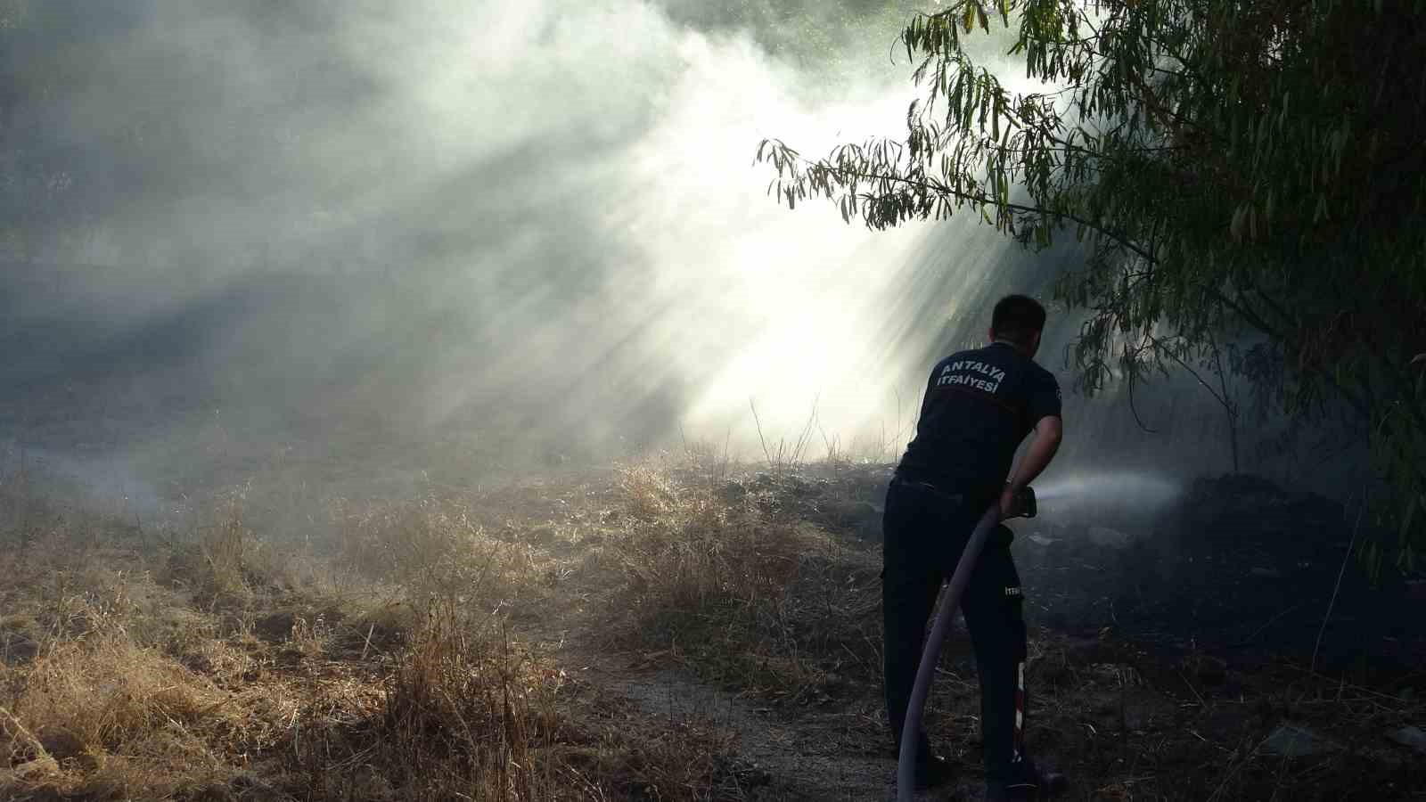 Ağaçlık alandaki yangın büyümeden söndürüldü