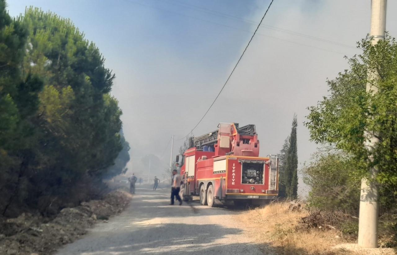 Manisa'da orman yangını: Çok sayıda ekip müdahale ediyor!