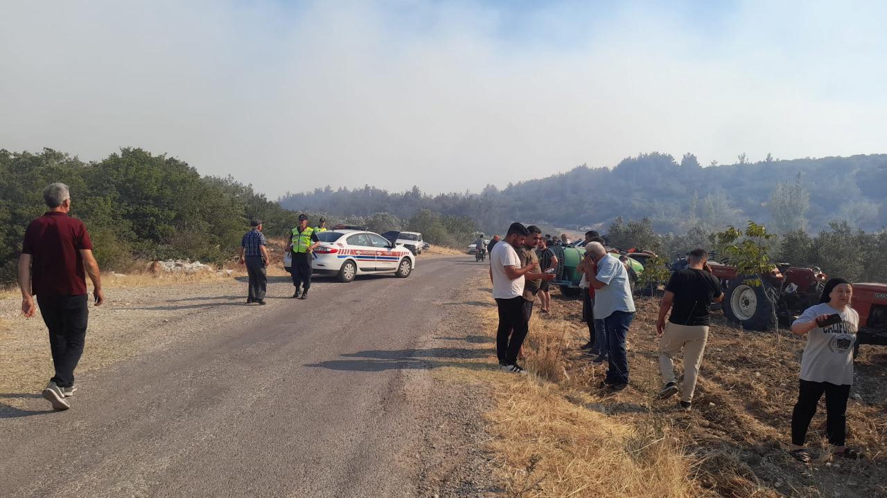 Manisa'da orman yangını: Çok sayıda ekip müdahale ediyor!