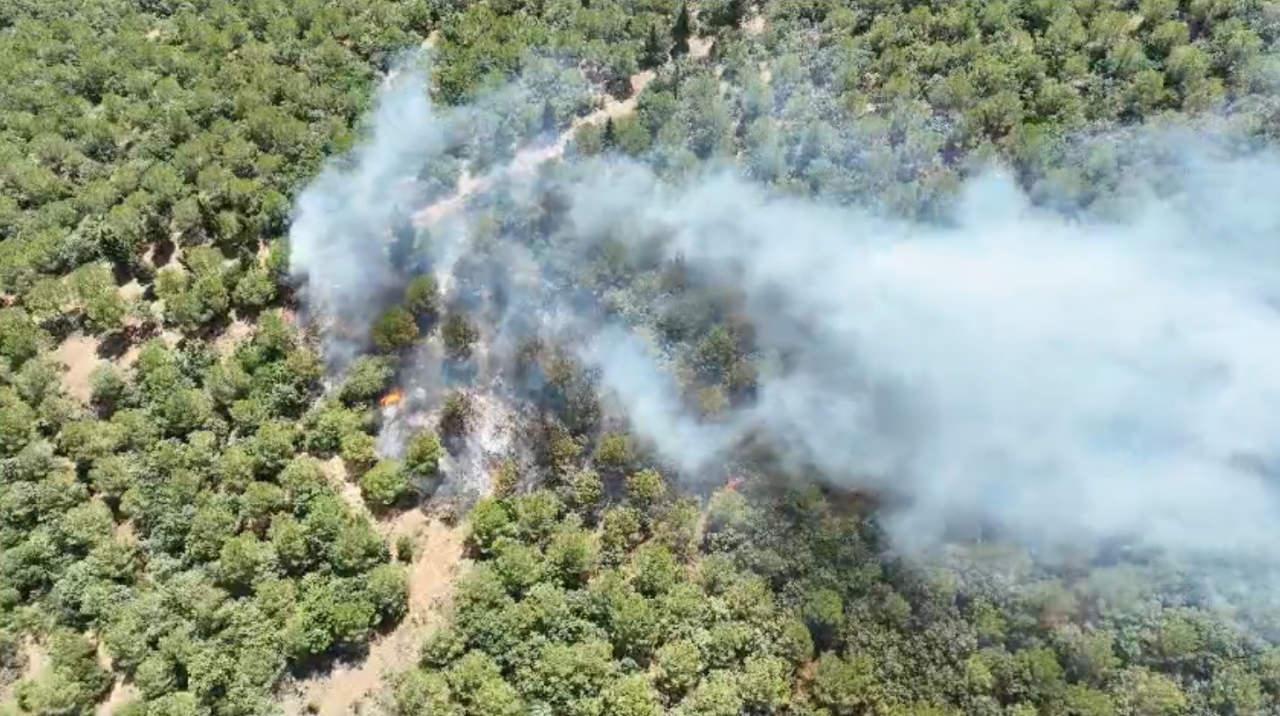 Çanakkale'de orman yangını