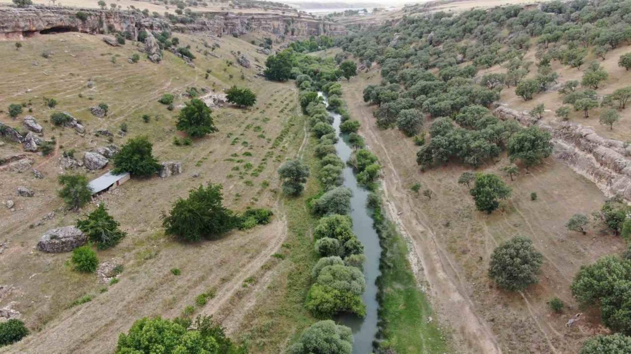 Diyarbakır'dan yürek yakan haber: 2 çocuk canından oldu