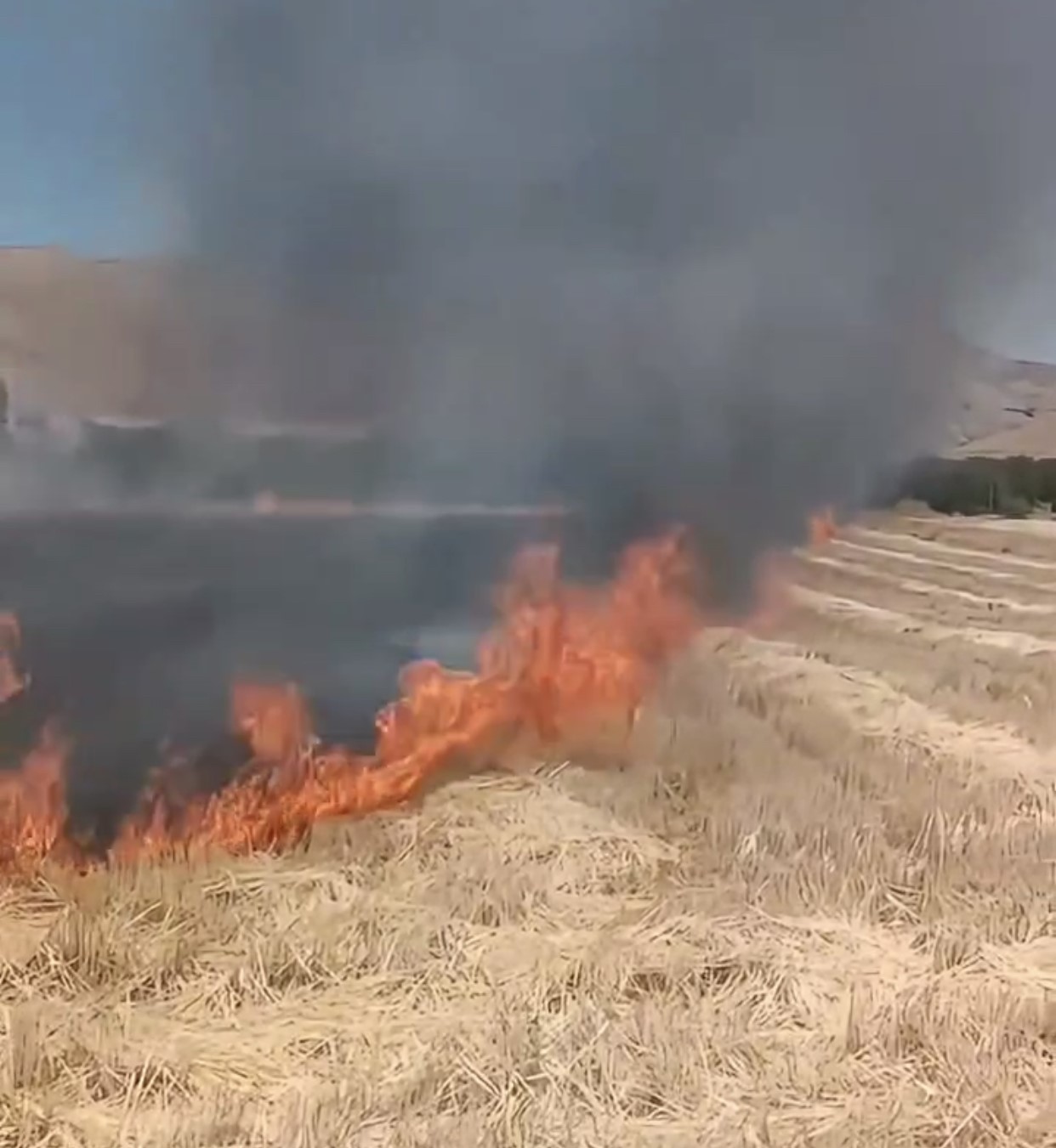 Elazığ’da tarlada çıkan anız yangını söndürüldü