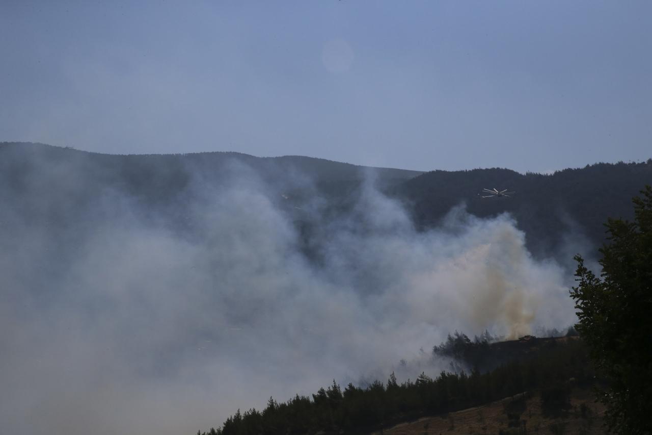 Hatay'da çıkan orman yangını kontrol altına alındı