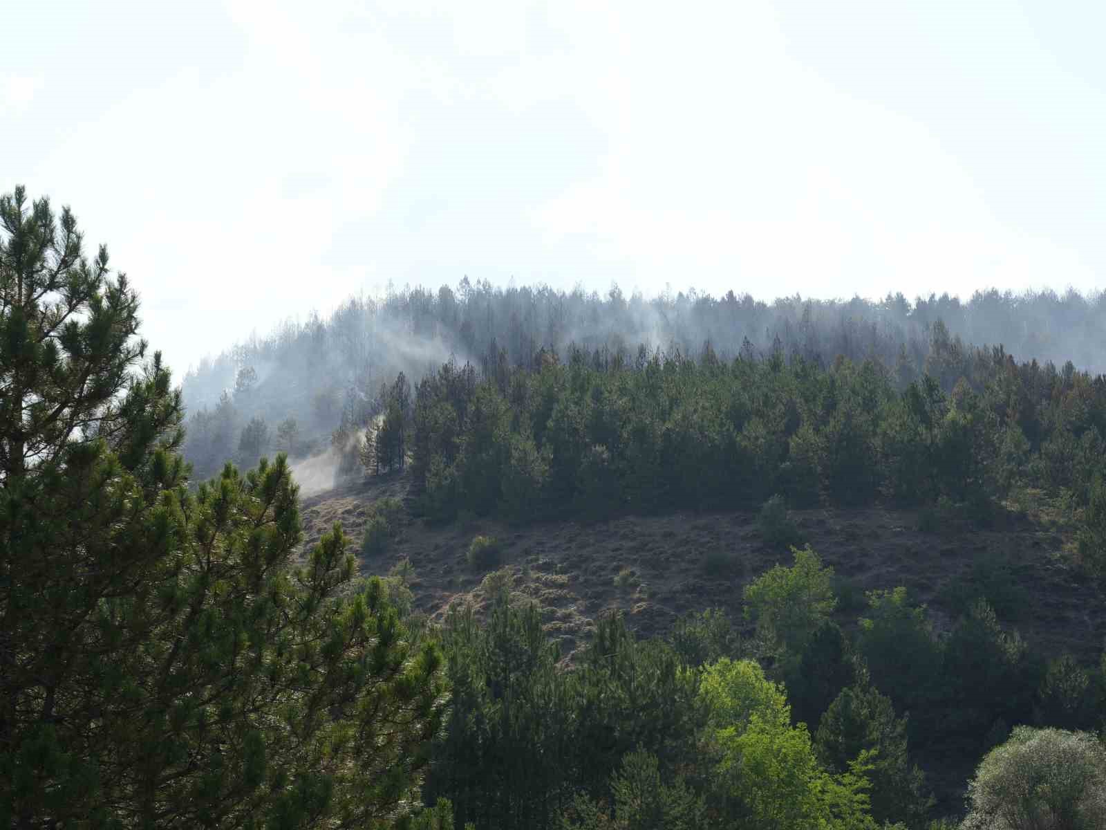 Kastamonu’daki orman yangını kontrol altına alındı