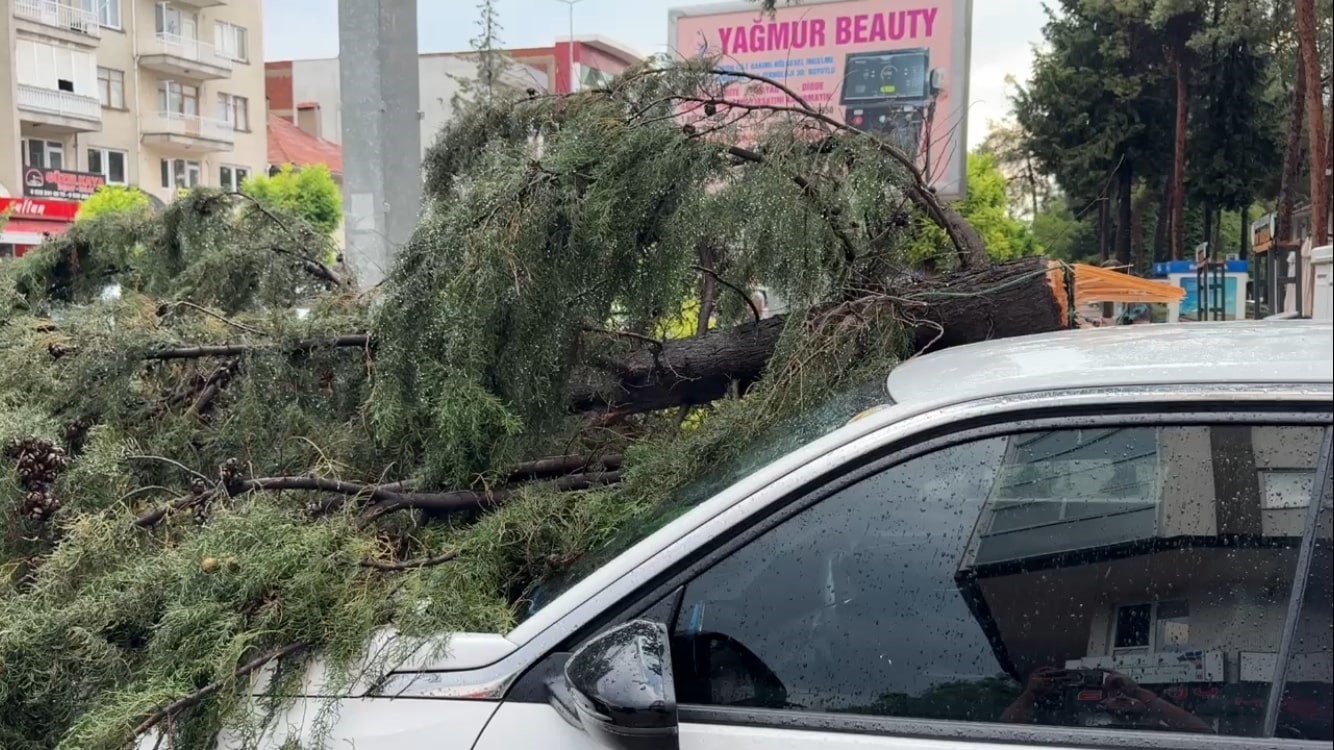 Burdur’da fırtınada kırılan ağaç aracın üzerine devrildi