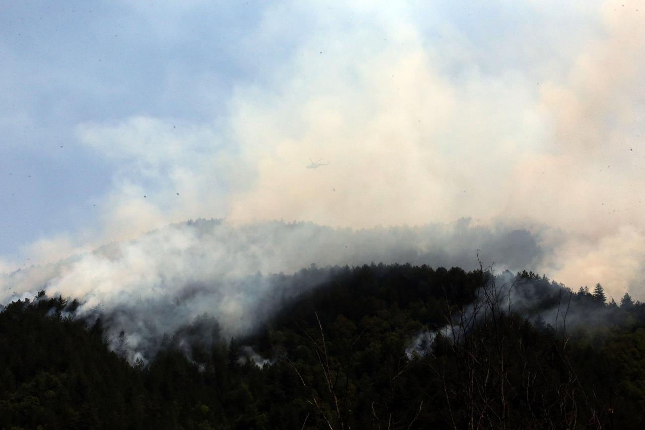 Kastamonu'da orman yangını: Müdahale devam ediyor!