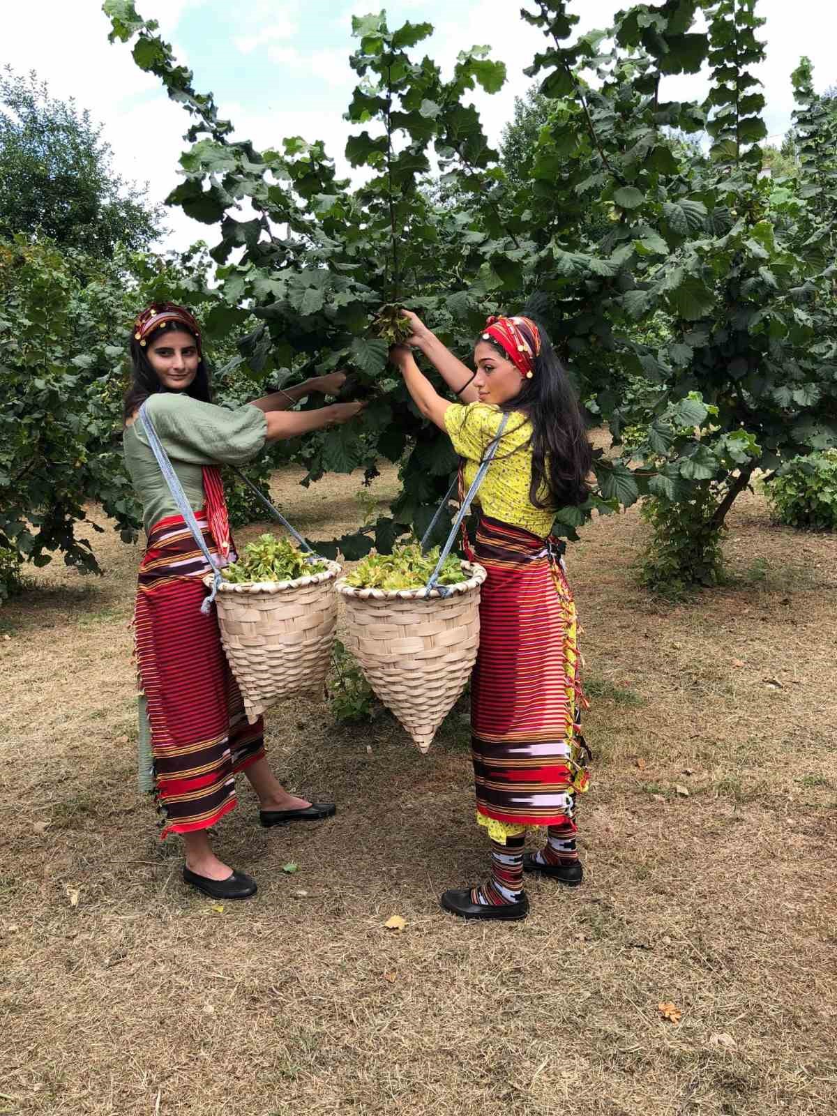 Giresun’da fındık işçisinin yevmiyesi belli oldu