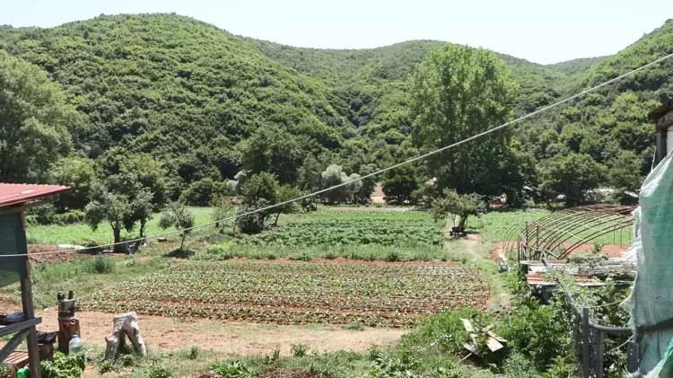 Pirinççi köylüleri ile İSKİ arasında tahliye anlaşmazlığı