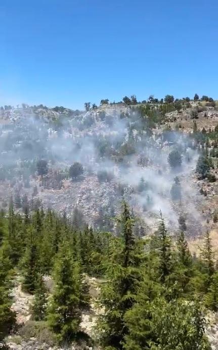 Mersin'de orman yangını! Havadan ve karadan müdahale