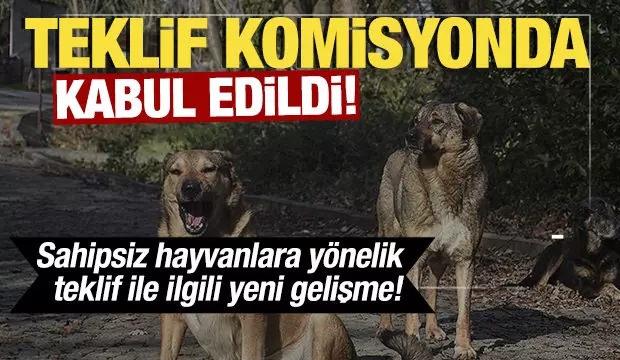 Mosso'dan sokak köpekleri üzerinden skandal çağrı! Hadsizlikte sınırları aştı