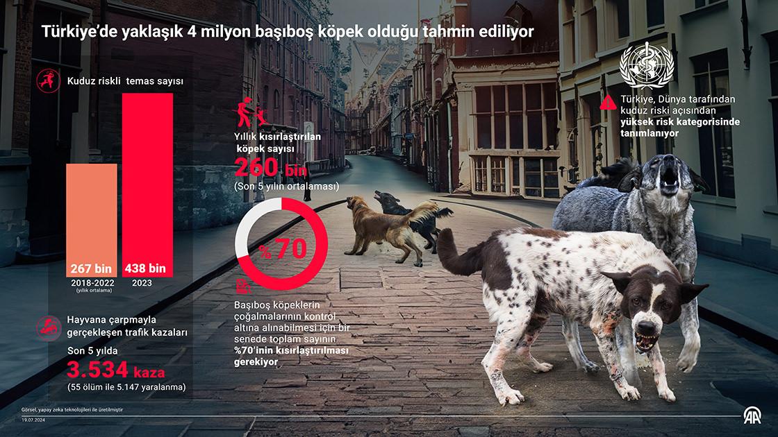 Mosso'dan sokak köpekleri üzerinden skandal çağrı! Hadsizlikte sınırları aştı