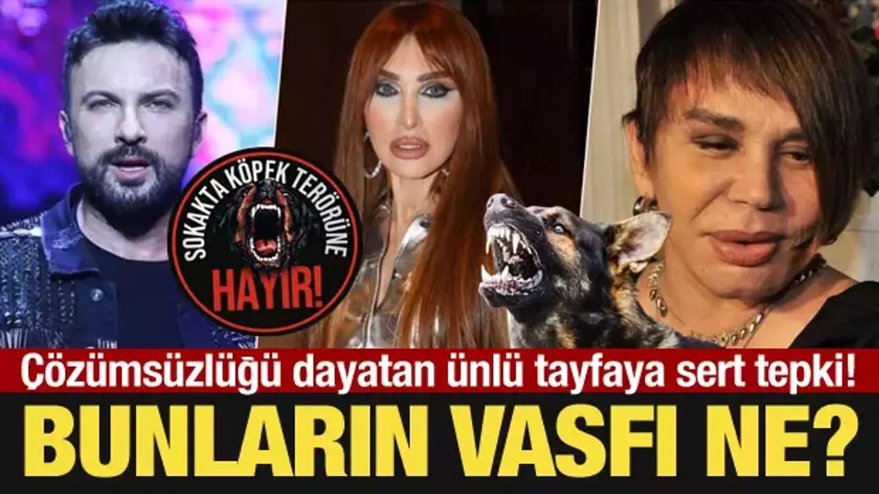 Mosso'dan sokak köpekleri üzerinden skandal çağrı! Hadsizlikte sınırları aştı