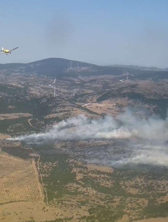 Manisa’da orman yangını