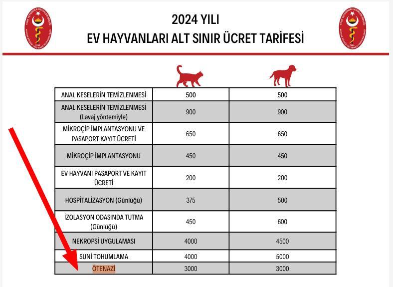 'Ötenazi' duyarı kasanlar onlara kör! Çocuklar ölürken köpekleri konuşmak zuldür!