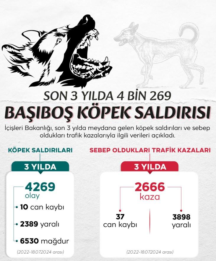 Son iki yılda 4 bin 269 köpek saldırısı kayıtlara geçti